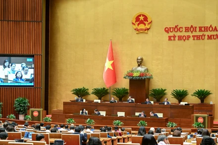 Phiên họp toàn thể ở hội trường tại Kỳ họp thứ 10, Quốc hội khóa XV. (Ảnh: DUY LINH)