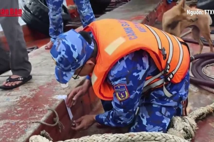 [Video] Bắt giữ tàu vận chuyển trái phép 50.000 lít dầu trên vùng biển Tây Nam