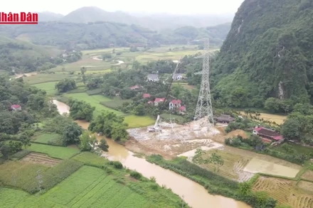 [Video] Đường dây 500kV Lào Cai - Vĩnh Yên: Quyết liệt bám tiến độ