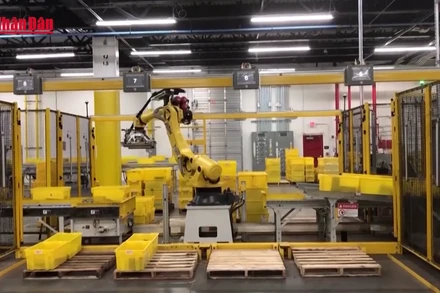 [Video] Đào tạo 1.000 doanh nghiệp xuất khẩu online