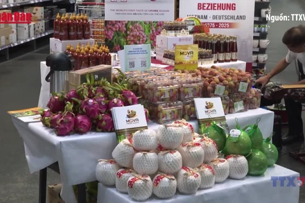 [Video] Đưa vải thiều Bắc Giang đến với khách hàng Đức