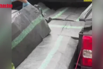 [Video] Bắt giữ xe bán tải chở hơn 200kg pháo trên quốc lộ