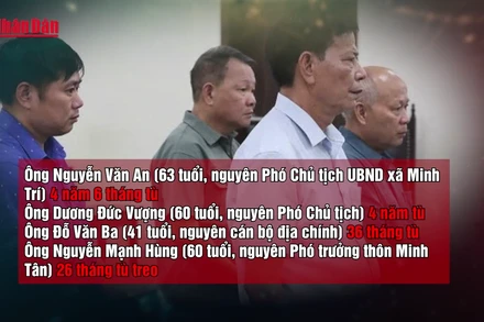 [Video] Nhóm cựu cán bộ xã lĩnh án vì ký khống 114 hồ sơ đất rừng phòng hộ