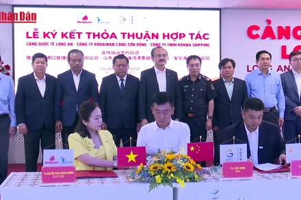 [Video] Cảng Quốc tế Long An hợp tác với cụm cảng và hãng tàu của Trung Quốc