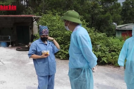 [Video] Ngăn dịch tả lợn châu Phi từ biên giới tới nội địa