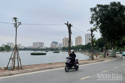 Dự báo khu vực Hà Nội trời rét đậm, có nơi rét hại.