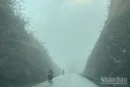 Dự báo khu vực Bắc Bộ nhiều nơi có sương mù nhẹ. (Ảnh minh họa: Đ.T)