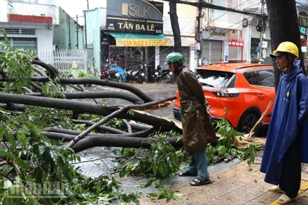 Một trận mưa lớn kèm giông lốc gây thiệt hại tại phường Trấn Biên vào tháng 7/2025.