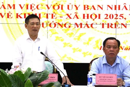 Phó Thủ tướng Chính phủ Hồ Đức Phớc phát biểu tại buổi làm việc.