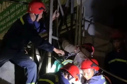 Lực lượng cứu hộ dùng dây, đai đưa ông T từ trên bảng quảng cáo xuống đất.