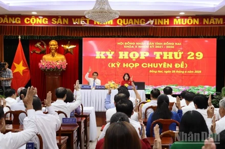 Các đại biểu Hội đồng nhân dân tỉnh Đồng Nai biểu quyết thông qua nghị quyết tại kỳ họp.