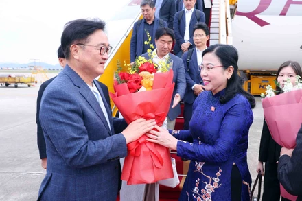 Chủ nhiệm Ủy ban Khoa học, Công nghệ và Môi trường của Quốc hội Nguyễn Thanh Hải đón Chủ tịch Quốc hội Hàn Quốc Woo Won Shik và Phu nhân tại sân bay Quốc tế Nội Bài. (Ảnh: Phạm Kiên/TTXVN)