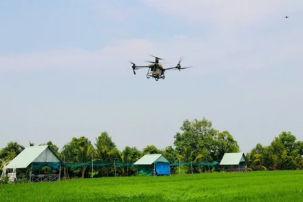 Sử dụng thiết bị bay không người lái (drone) phun thuốc bảo vệ thực vật tại huyện Tháp Mười, tỉnh Đồng Tháp. (Ảnh: MINH ANH)