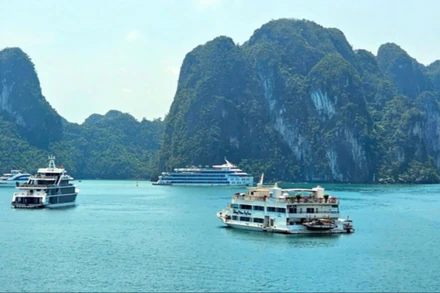 Tàu du lịch đưa khách thăm Vịnh Hạ Long.