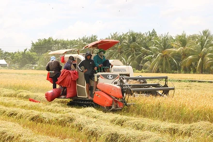 Sử dụng máy gặt đập liên hợp thu hoạch lúa, giúp các thành viên Hợp tác xã nông nghiệp Phát Tài, xã Châu Thành giảm chi phí sản xuất.