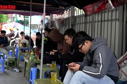 [Video] Hà Nội xử lý hơn 800 vi phạm trật tự công cộng trong 1 tuần