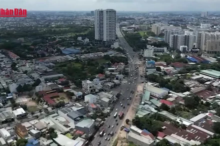 [Video] Mã định danh bất động sản sẽ giúp thu thuế dễ hơn, ngăn đầu cơ