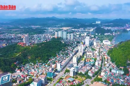 [Video] ADB: Việt Nam hội tụ nhiều điều kiện thuận lợi để bứt phá phát triển