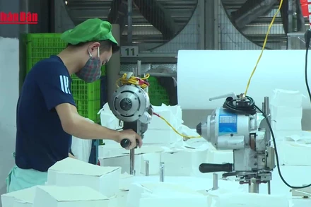 [Video] Hơn 61% người đề nghị hưởng trợ cấp thất nghiệp không có bằng cấp, chứng chỉ