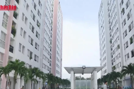 [Video] Nhiều chủ nhà “vỡ mộng” đầu tư cho thuê chung cư 