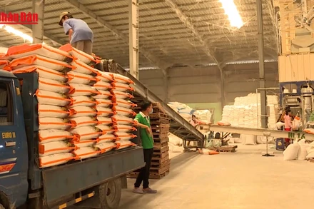 [Video] Xuất hơn 12.700 tấn gạo hỗ trợ người dân dịp Tết Nguyên đán
