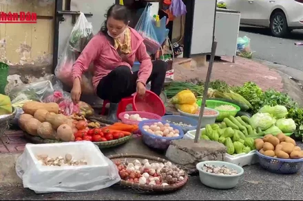[Video] Bộ Y tế yêu cầu bảo đảm an toàn thực phẩm trong phòng chống virus Nipah
