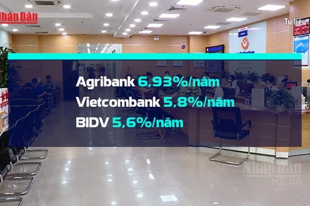 [Video] Lãi suất cho vay bình quân tăng mạnh