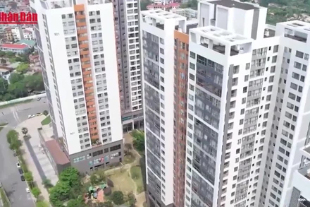 [Video] Từ năm 2026, thuế đối với người có nhiều nguồn thu nhập sẽ được xác định riêng rẽ