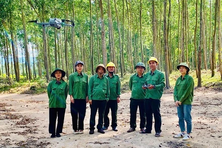 Sử dụng drone để tuần tra rừng tại Công ty TNHH Lâm nghiệp Sông Kôn. (Ảnh: GIZ/VŨ THÀNH)