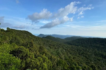 Cấp xã lần đầu được phê duyệt quản lý rừng bền vững.