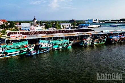 Với chính sách mới vừa ban hành, ngư dân Cà Mau được hỗ trợ 100% chi phí cước thuê bao hằng tháng trên thiết bị VMS đến hết năm 2028.