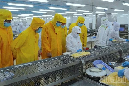 Lãnh đạo tỉnh Cà Mau mặc bảo hộ lao động (màu vàng) tham quan dây chuyền sản xuất, chế biến tại nhà xưởng của Tập đoàn Camimex vào sáng 26/2.