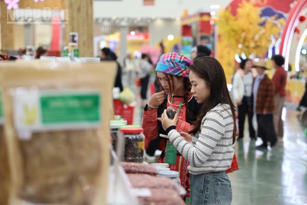 Mùng 4 Tết Bính Ngọ 2026: Kênh bán lẻ mở cửa đồng loạt, cung dồi dào, giá ổn định.