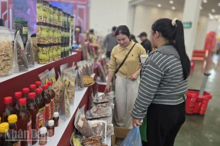 Nguồn cung dồi dào, giá cả ổn định, không xảy ra khan hàng trong mùng 3 Tết. (Ảnh: AN NGUYÊN)