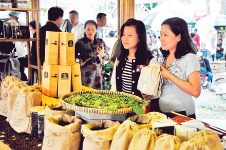 Giới thiệu các loại cà-phê tại hội chợ xúc tiến thương mại. Ảnh: Hải Nam