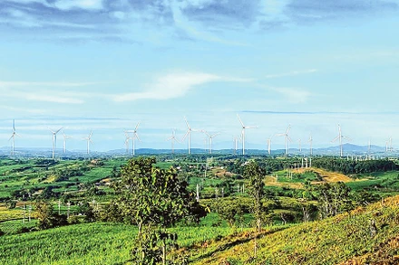 Phát triển điện gió tại Tây Nguyên cần thêm nhiều cơ chế hỗ trợ. Ảnh EVN