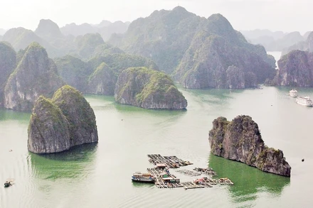 Bè nuôi thủy sản tại đặc khu Cát Bà (Hải Phòng). Ảnh: Khiếu Minh