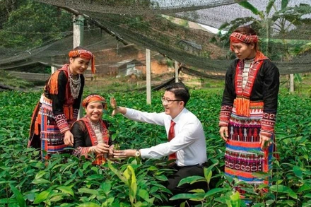 Agribank - trụ cột tài chính của nông nghiệp Việt Nam.