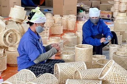 Các làng nghề truyền thống mây tre đan ở xã Phú Nghĩa (Hà Nội) duy trì và phát triển nhờ nguồn vốn tín dụng ngân hàng.