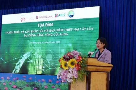 Bà Đinh Thị Hoa, Trưởng phòng Giảm nghèo và An sinh xã hội phát biểu tại tọa đàm. 