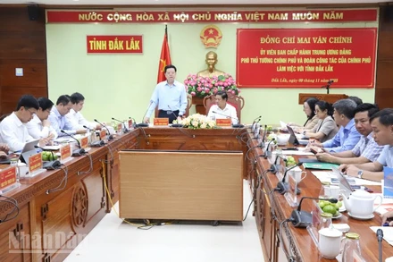 Phó Thủ tướng Mai Văn Chính phát biểu tại buổi làm việc.