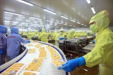 Các doanh nghiệp xuất khẩu tôm Việt Nam tập trung vào sản xuất chế biến chất lượng cao cung cấp cho thị trường Mỹ - thị trường xuất khẩu lớn nhất của Việt Nam. (Ảnh TTXVN)