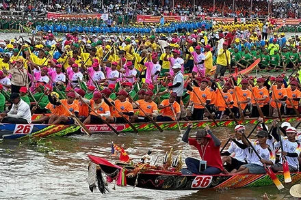 Cần Thơ giữ kỷ lục là nơi có nhiều ghe Ngo tham gia thi đấu 