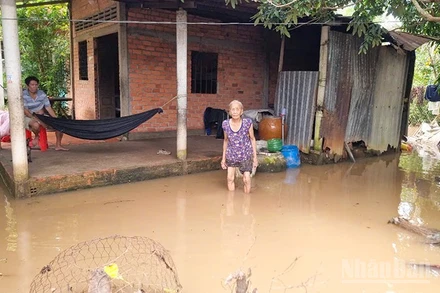 Xung quanh căn nhà bà Nguyễn Thị Hoa ở xã An Bình, tỉnh Vĩnh Long bị ngập do triều cường. 