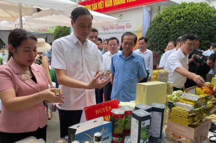 Các đại biểu tham quan gian hàng trưng bày các sản phẩm OCOP và nông sản tiêu biểu của các địa phương.