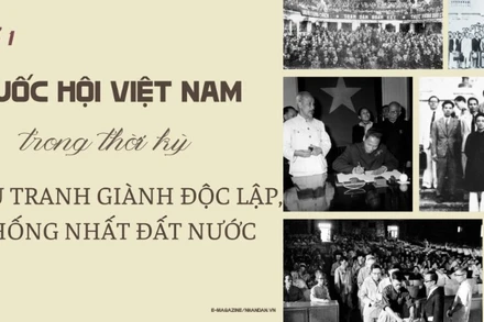 Quốc hội Việt Nam trong thời kỳ đấu tranh giành độc lập, thống nhất đất nước