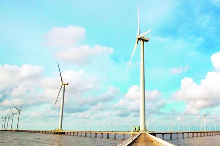 Trên "cánh đồng điện gió" Bạc Liêu (nay thuộc tỉnh Cà Mau).