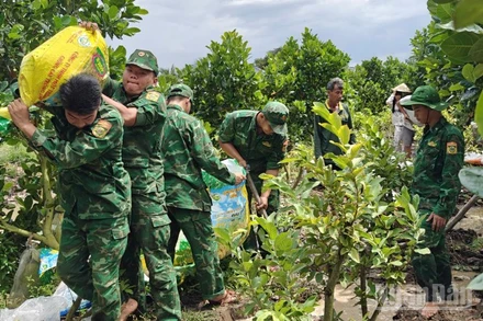 Bộ đội Biên phòng Đồng Tháp giúp dân gia cố bờ bao trên địa bàn (ảnh Đoàn Phát).