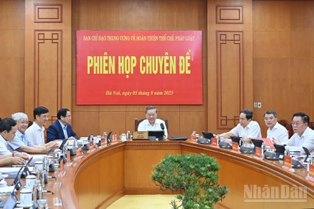 Tổng Bí thư Tô Lâm chủ trì Phiên họp chuyên đề của Ban Chỉ đạo Trung ương về hoàn thiện thể chế, pháp luật.