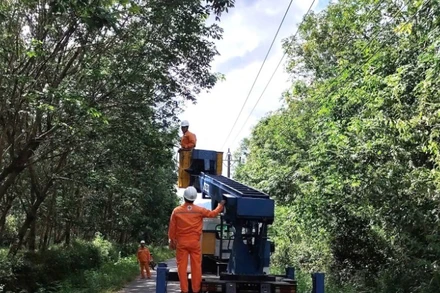 Công nhân Công ty Điện lực Quảng Trị cưa cắt cây có nguy cơ gãy đổ vào đường dây điện ở xã Bố Trạch.